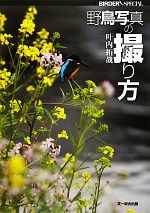 野鳥写真の撮り方 -(BIRDER SPECIAL)