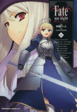 Fate/stay night(カドカワCA) -(11)