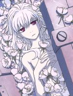 DARKER THAN BLACK-流星の双子-4(Blu-ray Disc)