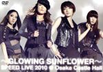 GLOWING SUNFLOWER SPEED LIVE 2010@大阪城ホール