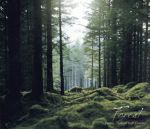 自然が贈るクラシック 森 ピアノBEST