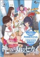 神のみぞ知るセカイ(特別版) -(14)(OVA付)