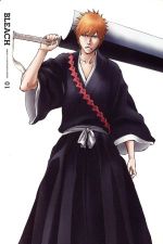 ｂｌｅａｃｈ 護廷十三隊侵軍篇 １ 中古dvd 久保帯人 原作 森田成一 黒崎一護 折笠富美子 朽木ルキア 工藤昌史 キャラクターデザイン 鷺巣詩郎 音楽 ブックオフオンライン