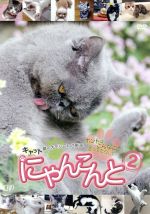 にゃんこんと2~キャット驚くオモシロねこ動画 ホントはこんなこと言ってたりして~