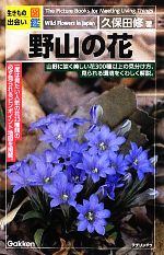 生きもの出会い図鑑 野山の花 生きもの出会い図鑑-