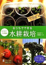 はじめてでも簡単!おうちでできる水耕栽培 材料は100円ショップで!安心・安全の野菜、ハーブいろいろ-