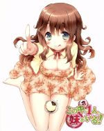 この中に1人、妹がいる!Vol.5(Blu-ray Disc)