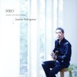 NEO melodies in the key of creation