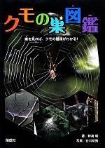 クモの巣図鑑 巣を見れば、クモの種類がわかる!-