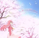 ハヤテのごとく!Cuties:春ULALA LOVEよ来い!!