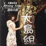 Rising Soul/運命の扉(初回限定盤A)(DVD付)(特典DVD1枚付)
