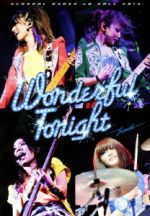 SCANDAL OSAKA-JO HALL 2013 Wonderful Tonight(Blu-ray Disc)