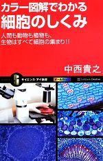 カラー図解でわかる細胞のしくみ 人間も動物も植物も、生物はすべて細胞の集まり!!-(サイエンス・アイ新書)