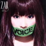 VOICE(初回限定盤)(DVD付)(特典DVD1枚付)