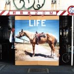 LIFE(初回生産限定盤)(特典CD1枚付)