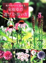 庭をきれいに見せる宿根草の選び方・使い方