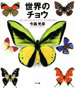 世界のチョウ THE MUSEUM OF BUTTERFLIES-