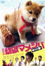 マルサ！！ DVD－BOX／江角マキコ,香川照之,三宅健,永井大