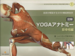 図解 YOGAアナトミー 筋骨格編 医師が解説するヨガの機能解剖学-(SCIENTIFIC KEYS1)