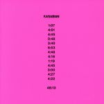 【輸入盤】48:13