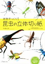 本物そっくり!昆虫の立体切り紙