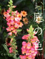 庭の色 Colour in the Garden-