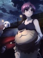 Fate/kaleid liner プリズマ☆イリヤ ツヴァイ ヘルツ!第2巻(Blu-ray Disc)