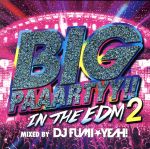 BIG PAAARTYY!!IN THE EDM 2 mixed by DJ FUMI★YEAH!