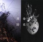 運命開花(初回限定盤)(DVD付)(DVD1枚付)