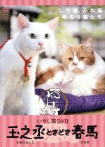 いやし猫 DVD 猫侍 玉之丞ときどき春馬