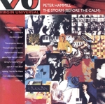 【輸入盤】The Storm