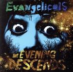 【輸入盤】The Evening Descends