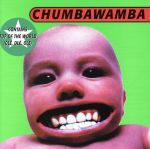 【輸入盤】Tubthumper