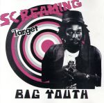 【輸入盤】Screaming Target