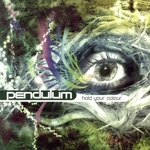 【輸入盤】Hold Your Colour