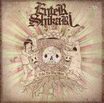 【輸入盤】Take to the Skies