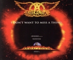 【輸入盤】I Don’t Want To Miss A Thing