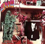 【輸入盤】Here Come the Warm Jets