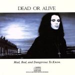 【輸入盤】Mad Bad & Dangerous to Know