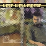 【輸入盤】Feel Fantabulous