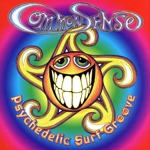 【輸入盤】Psychedelic Surf Groove