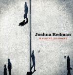 【輸入盤】Walking Shadows