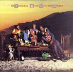 【輸入盤】Those Southern Knights