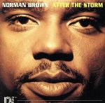 【輸入盤】After the Storm