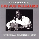 【輸入盤】Essential