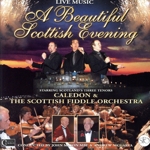 【輸入盤】Beautiful Scottish Evening