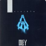 【輸入盤】Invisible