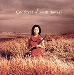 【輸入盤】Small Flowers