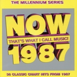 【輸入盤】Now 1987