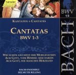 【輸入盤】Bach:Complete Works